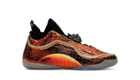 Nike LeBron 23 Warning Label